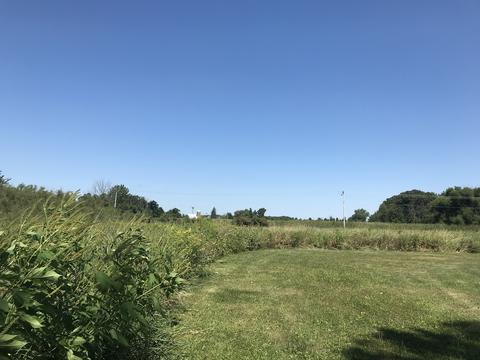 17520 Barber Greene Rd, Maple Park, IL 60151 photo 56