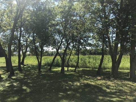 17520 Barber Greene Rd, Maple Park, IL 60151 photo 31
