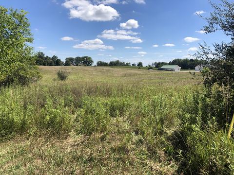 11550 Lake Rd, Dewitt, IL 61735 photo 3