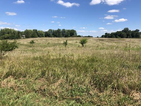 11550 Lake Rd, Dewitt, IL 61735 photo 1