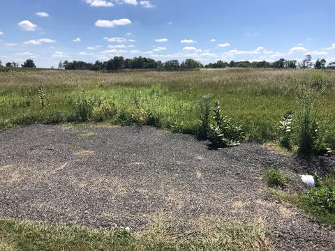 11550 Lake Rd, Dewitt, IL 61735 photo 5