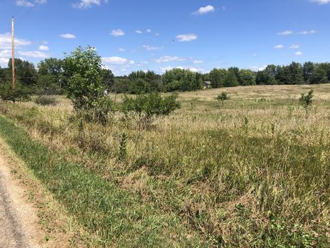 11550 Lake Rd, Dewitt, IL 61735 photo 2