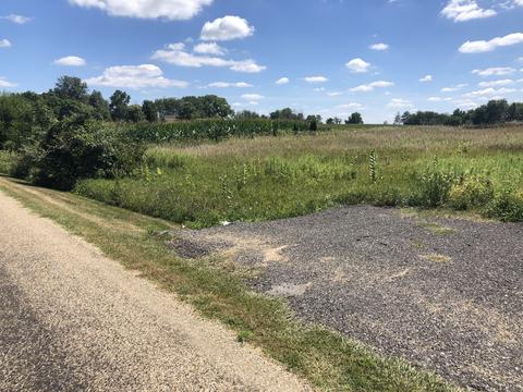 11550 Lake Rd, Dewitt, IL 61735 photo 9