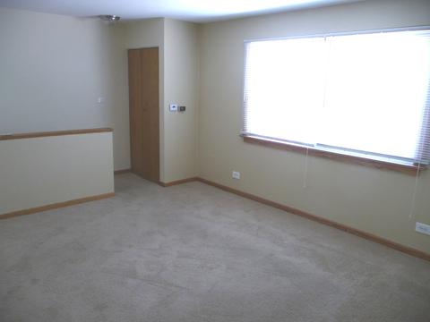 188 Robert Ct #D, Bartlett, IL 60103 photo 3