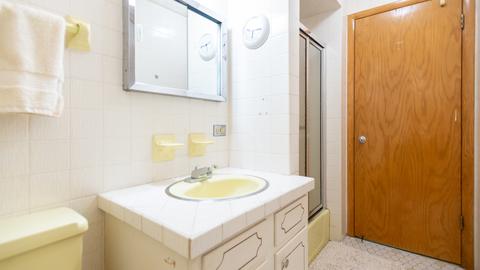 100 Graymoor Ln, Olympia Fields, IL 60461 photo 43