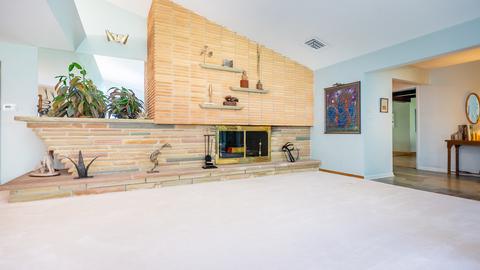 100 Graymoor Ln, Olympia Fields, IL 60461 photo 6
