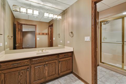 9 Shenandoah Ct, Burr Ridge, IL 60527 photo 36