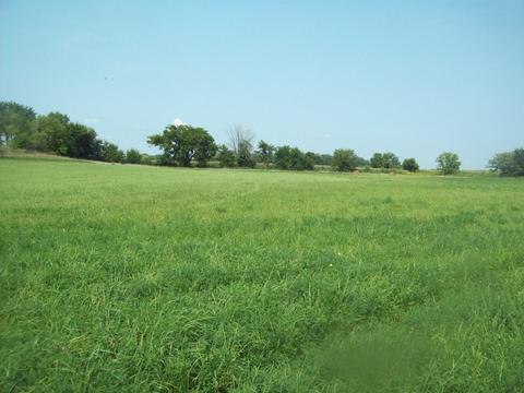 27600 E 1100 St, Walnut, IL 61376 photo 6