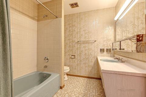 1116 N Hemlock Ln, Mount Prospect, IL 60056 photo 18