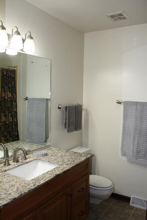 74 Devonshire Cir, Elgin, IL 60123 photo 10