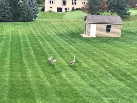 412 Bluffs Edge Dr, Mchenry, IL 60051 photo 66