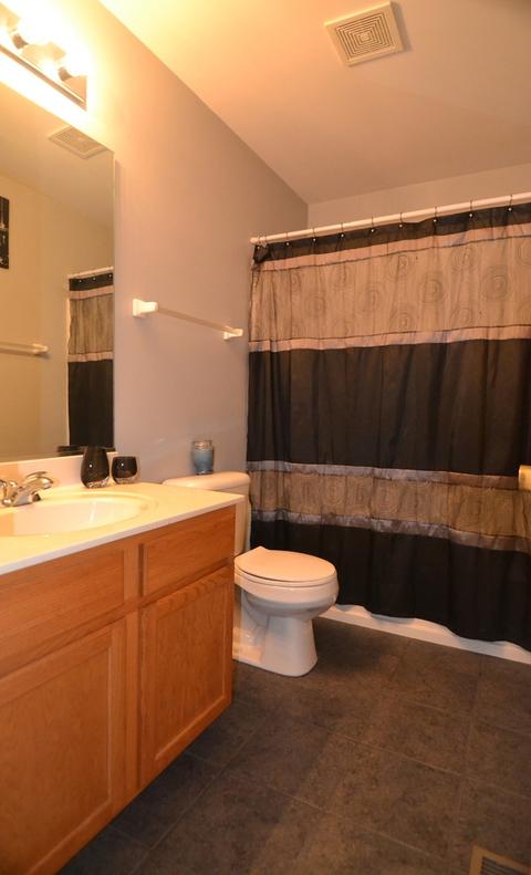 24370 Leski Ln, Plainfield, IL 60585 photo 21