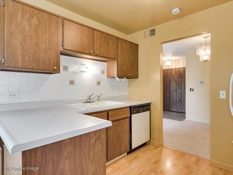 1166 Buckingham Ct #D2, Wheeling, IL 60090 photo 9