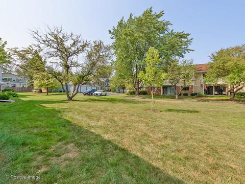 1166 Buckingham Ct #D2, Wheeling, IL 60090 photo 21