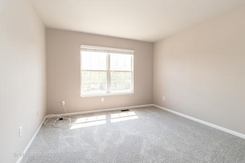20914 W Ames Ct, Plainfield, IL 60544 photo 11