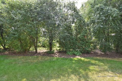 1172 Danforth Dr, Batavia, IL 60510 photo 37