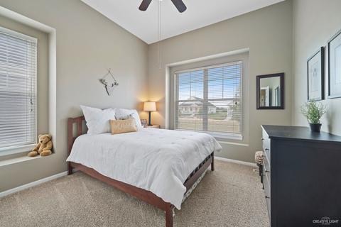 12509 Kildare Dr, Plainfield, IL 60585 photo 21