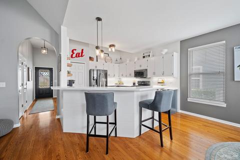 12509 Kildare Dr, Plainfield, IL 60585 photo 10