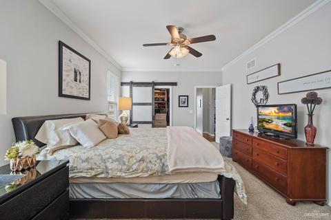 12509 Kildare Dr, Plainfield, IL 60585 photo 18