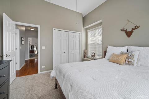 12509 Kildare Dr, Plainfield, IL 60585 photo 22