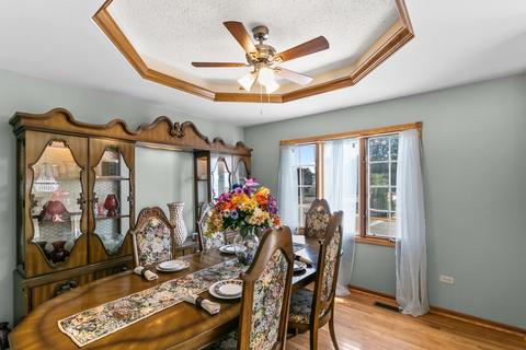 26034 S Ruby St, Monee, IL 60449 photo 4