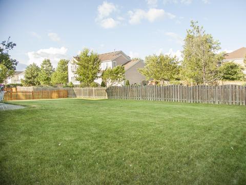 3019 Cranston Ave, Elgin, IL 60124 photo 40