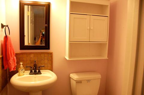 419 Scott St, Algonquin, IL 60102 photo 13