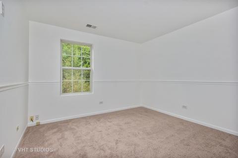 4041 Oak Tree Ln, Plainfield, IL 60586 photo 10