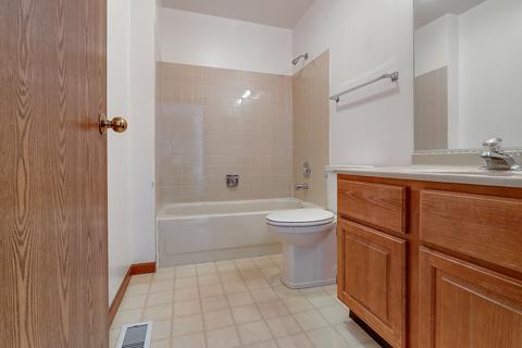 13815 S Mandarin Ct, Plainfield, IL 60544 photo 20