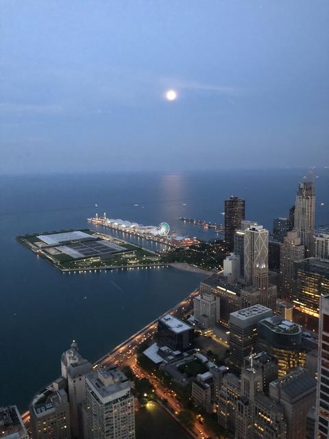 175 E Delaware Pl #9004, Chicago, IL 60611 photo 32