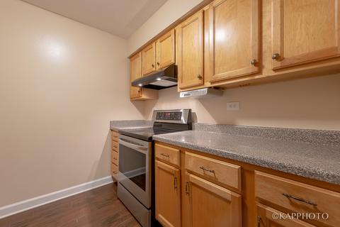4529 Prescott Ave #1E, Lyons, IL 60534 photo 9