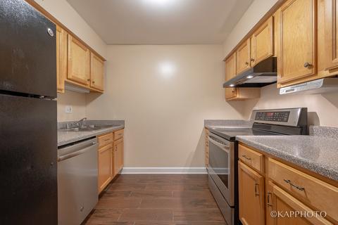 4529 Prescott Ave #1E, Lyons, IL 60534 photo 8