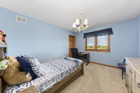 24442 Pine Ridge Dr, Monee, IL 60449 photo 18