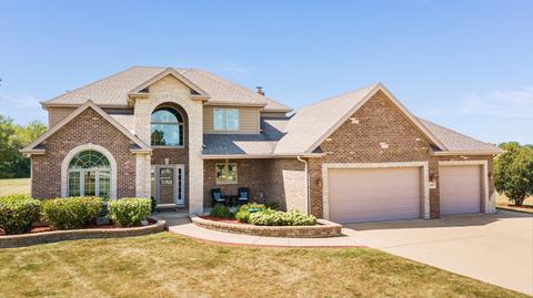 24442 Pine Ridge Dr, Monee, IL 60449 photo 1