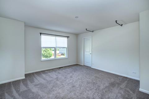 27013 Ashgate Xing, Plainfield, IL 60585 photo 31