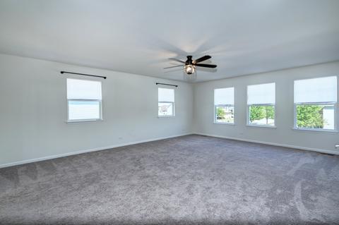 27013 Ashgate Xing, Plainfield, IL 60585 photo 26