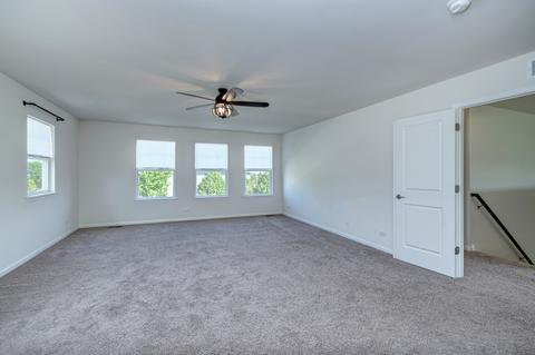 27013 Ashgate Xing, Plainfield, IL 60585 photo 28