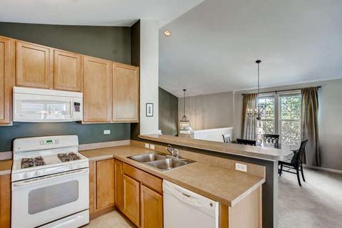 2490 Emily Ln, Elgin, IL 60124 photo 8