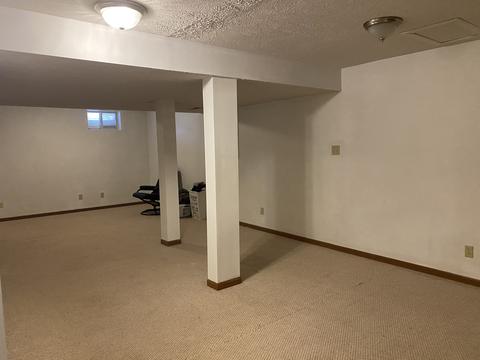 112 N Pintail Ln, Downs, IL 61736 photo 23