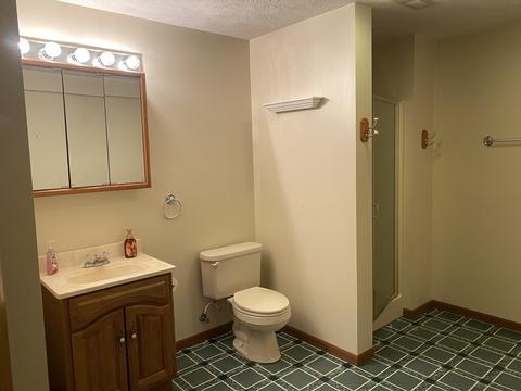 112 N Pintail Ln, Downs, IL 61736 photo 24