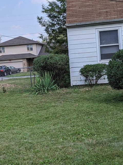 15832 Sawyer Ave, Markham, IL 60428 photo 35