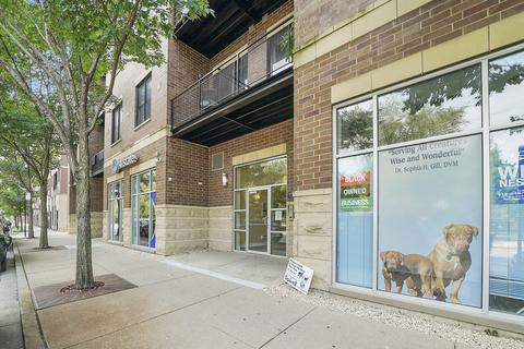 207 E 31st St #2F, Chicago, IL 60616 photo 3