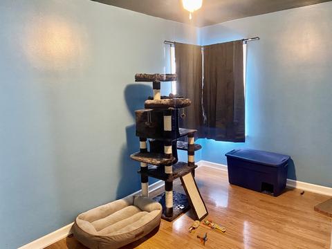147 E Fremont St, Ottawa, IL 61350 photo 9