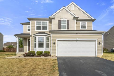 830 Avalon Way, Minooka, IL 60447 photo 25