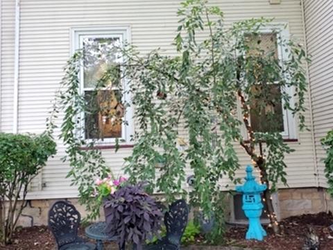 327 E Washington St, Ottawa, IL 61350 photo 19