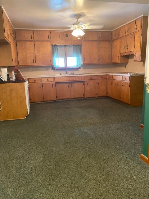 116 E Hack St, Cullom, IL 60929 photo 10