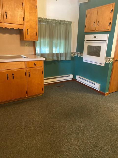 116 E Hack St, Cullom, IL 60929 photo 9