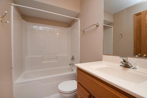 33 Billy Casper Ln, Midlothian, IL 60445 photo 17