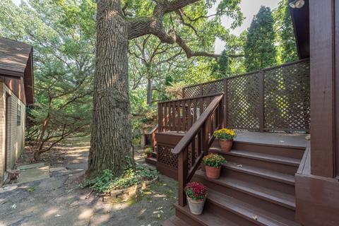 923 Forest Ave, River Forest, IL 60305 photo 37
