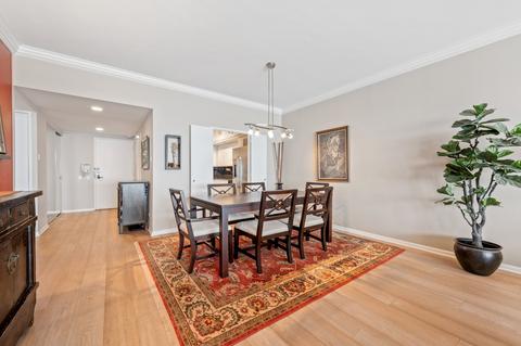 175 E Delaware Pl #4810, Chicago, IL 60611 photo 7